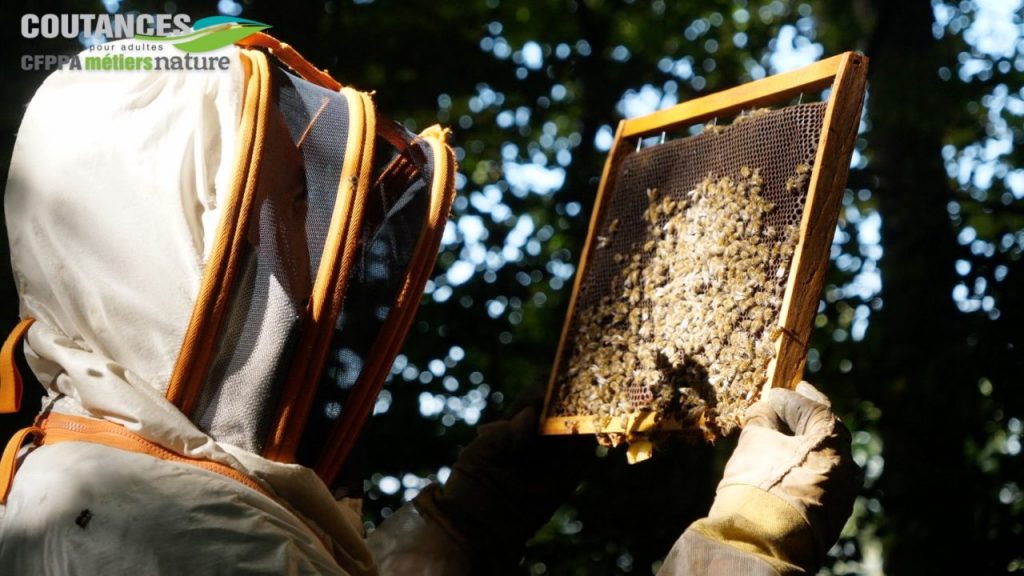 formation apiculteur au CFPPA de Coutances