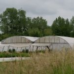 biopousse6