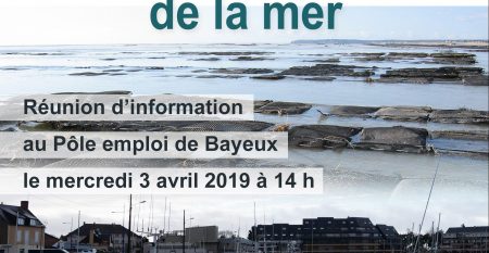 pole-emploi pole-emploi