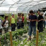 legumes-biologiques