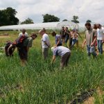 visite-exploitation-maraichage-bio