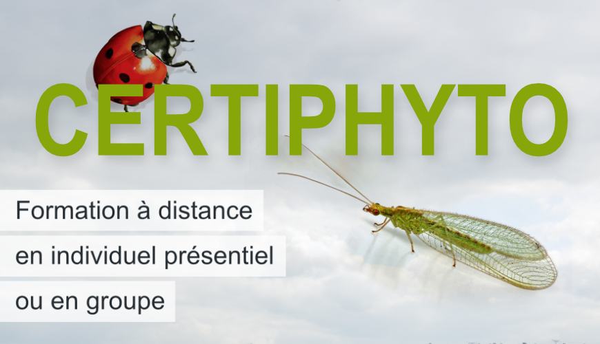 Formation certiphyto, CIPP, certificat indviduel, tests et renouvellement.