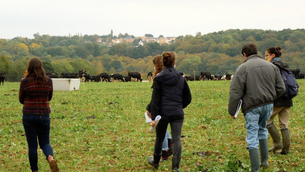 L'élevage laitier bovin bio en Normandie