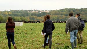 découvrir l'élevage laitier bovin bio en Normandie