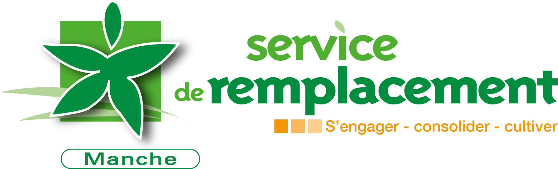 Service de remplacement de la Manche