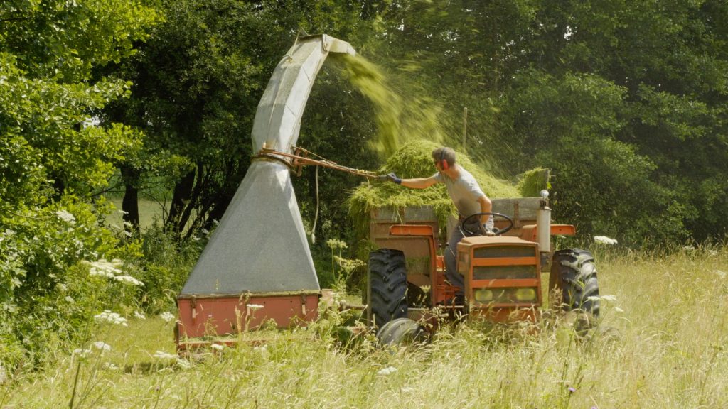 maraîchage tout herbe, mulch, prairie et fertilité