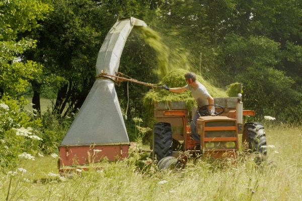 maraîchage tout herbe, mulch, prairie et fertilité