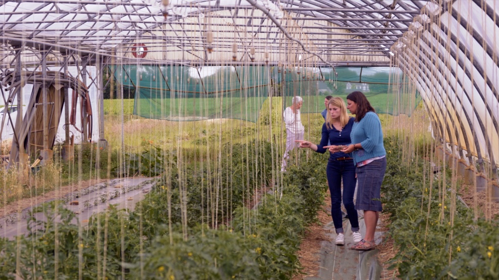 Biopousses des légumes bio pour la restauration collective