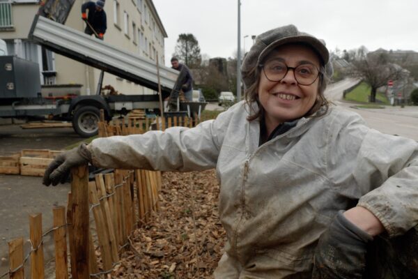 plantes comestibles en ville