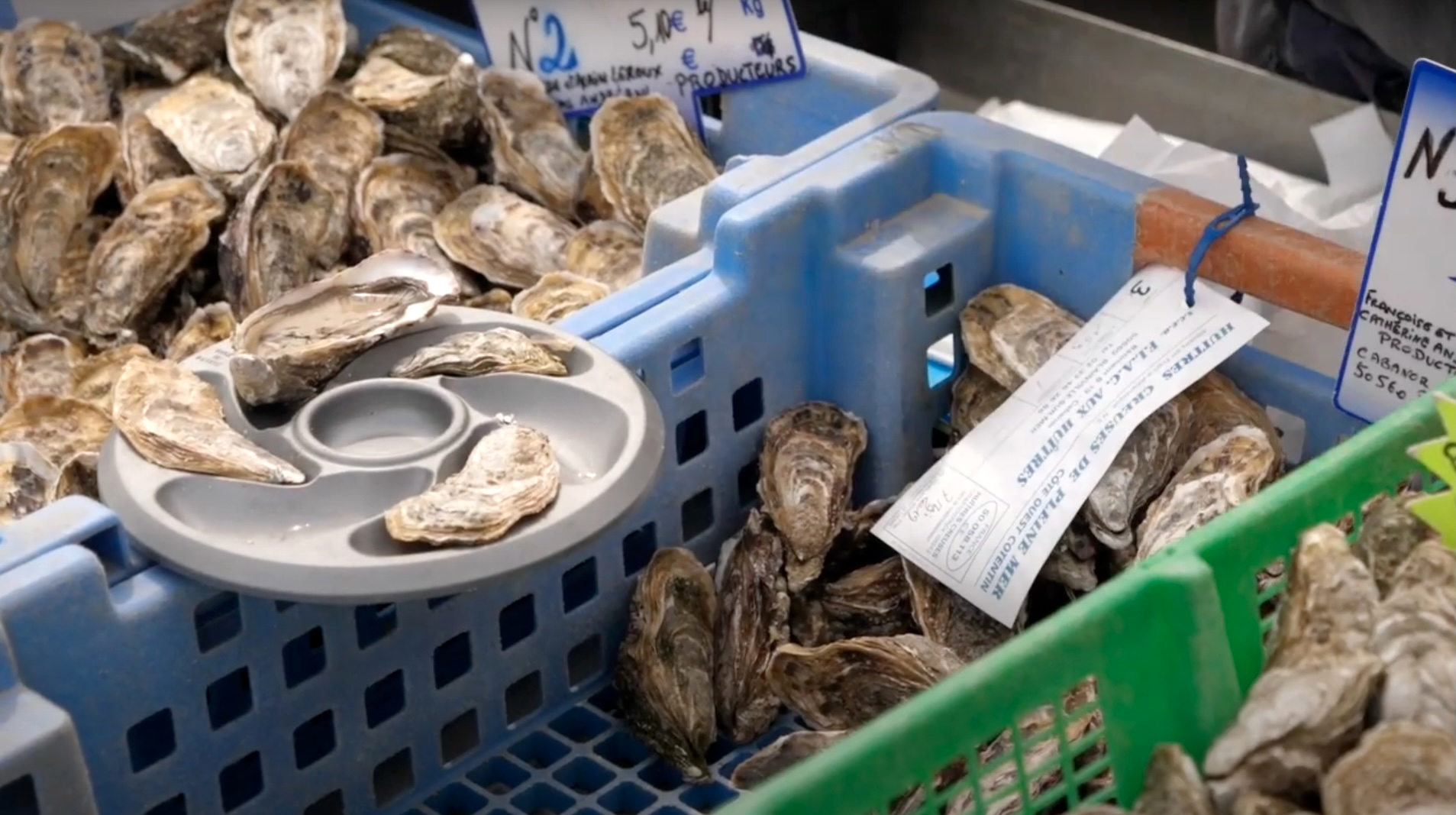 Face au manque de main d'œuvre, les producteurs d'huîtres tentent de  trouver des solutions