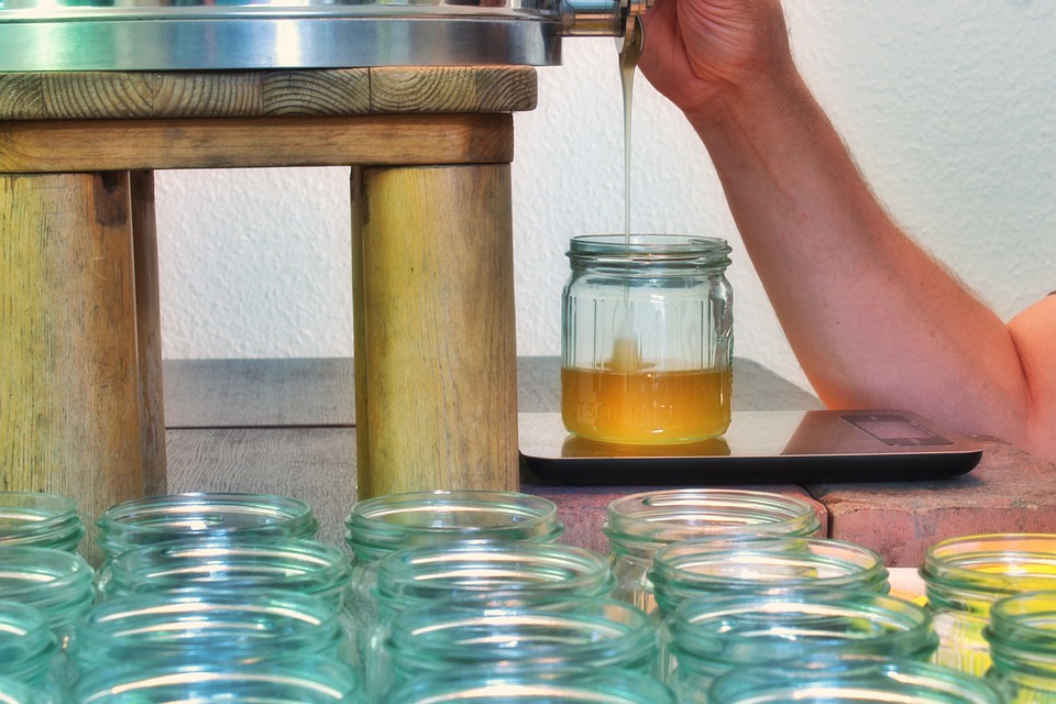 Formation transformation du miel - Apiculture