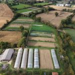 Offre d’emploi saisonnier dans une ferme maraîchère Offre d’emploi saisonnier dans une ferme maraîchère