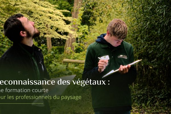 Formation reconnaissance des végétaux