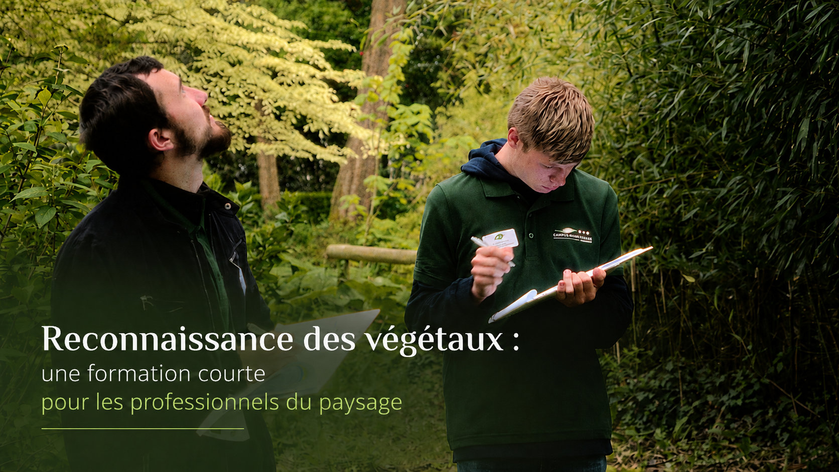 Formation reconnaissance des végétaux