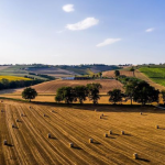 Poste de salarié agricole Poste de salarié agricole